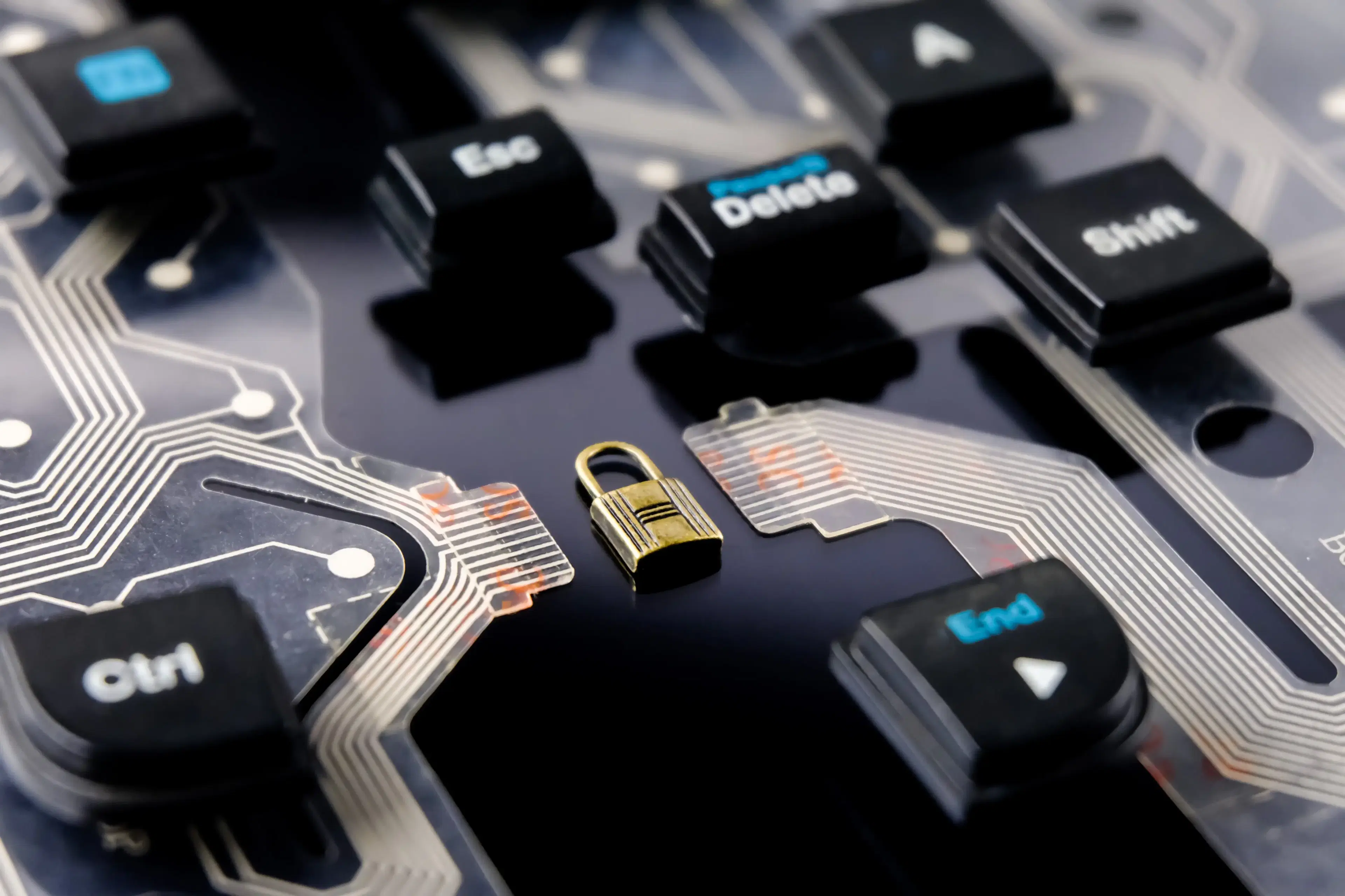 Enterprise-Grade Security